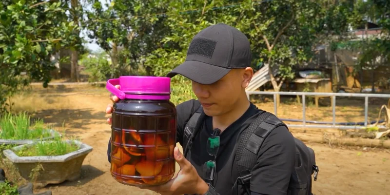 rượu ngâu