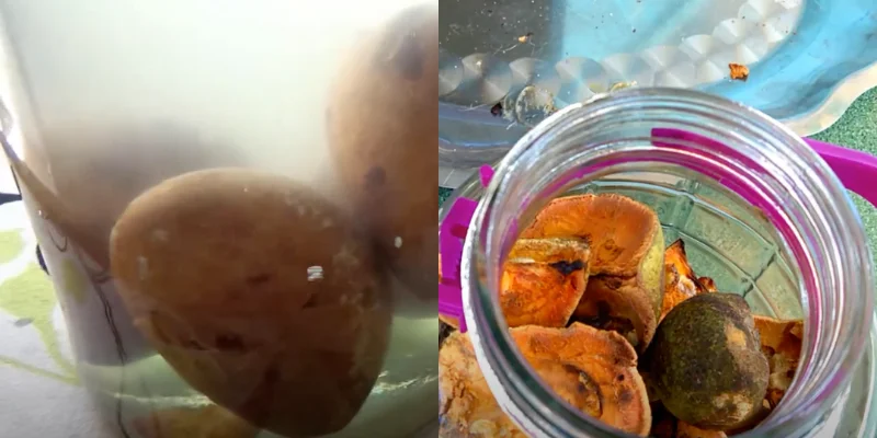 Cách ngâm rượu ngâu