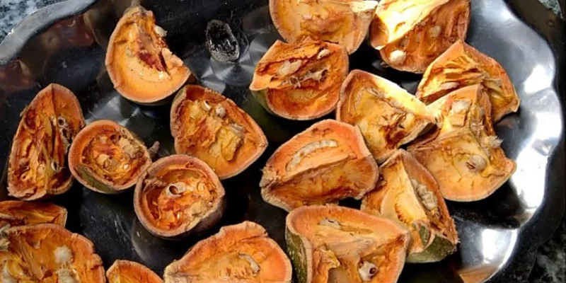 Quả ngâu khi khô